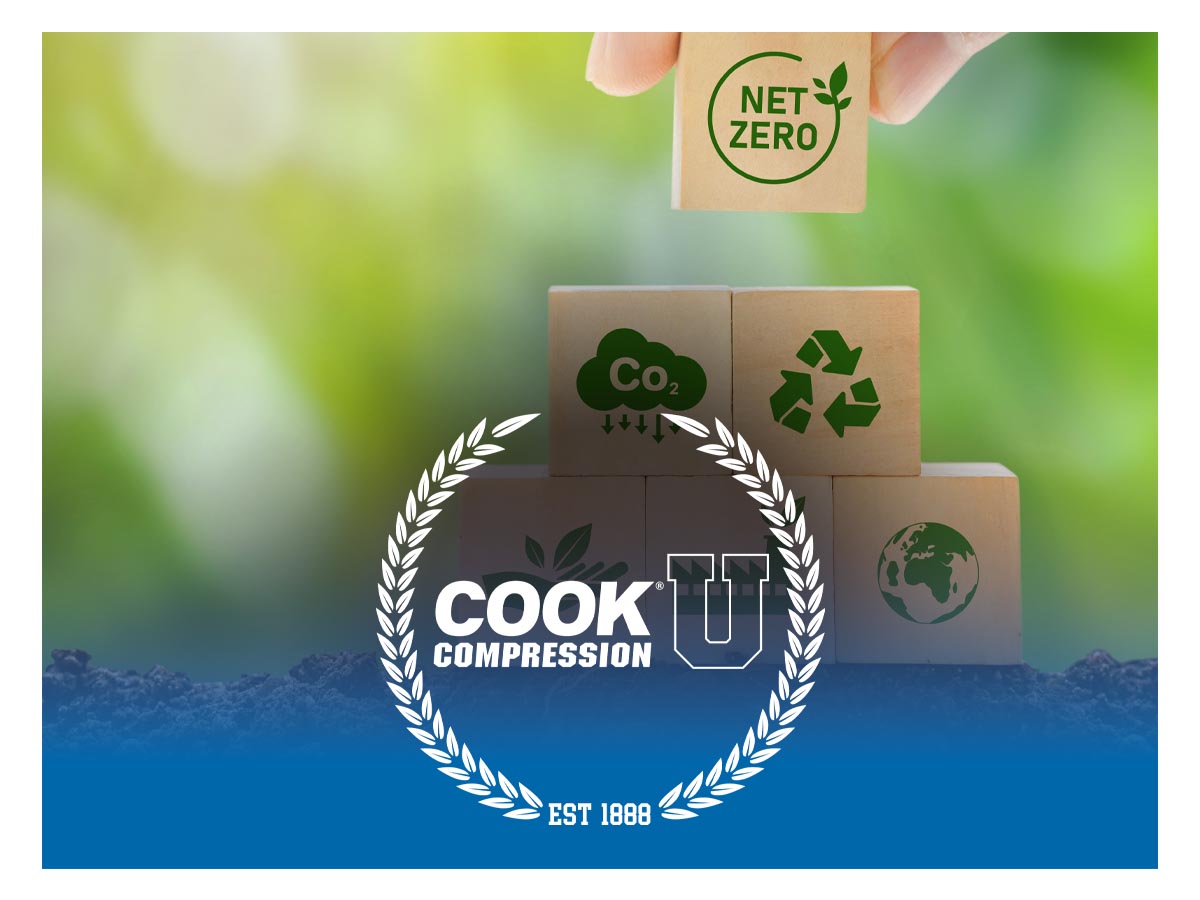 Near Zero Emissions for Net Zero Goals