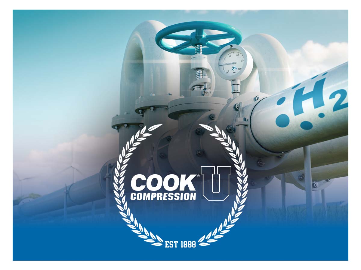 Technical Challenges for Reciprocating Hydrogen Compressors